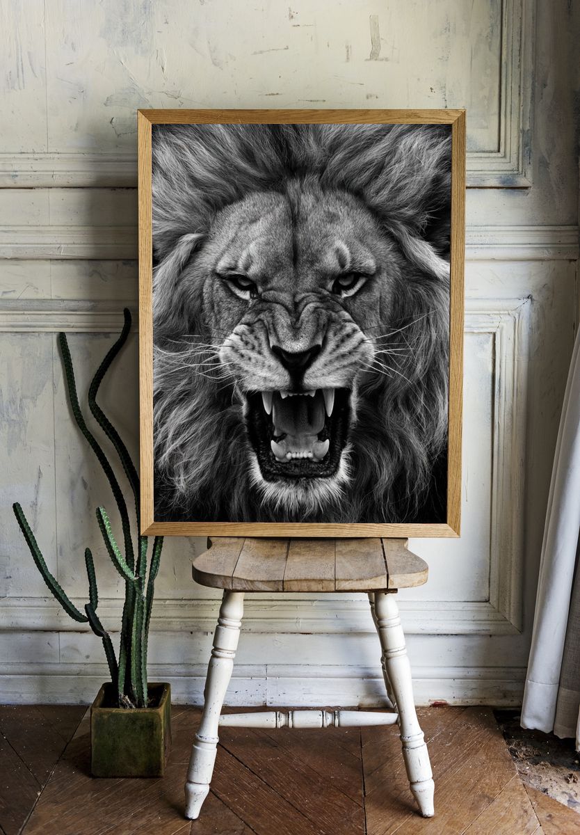 Roaring Lion Black-White Poster. — room view 1