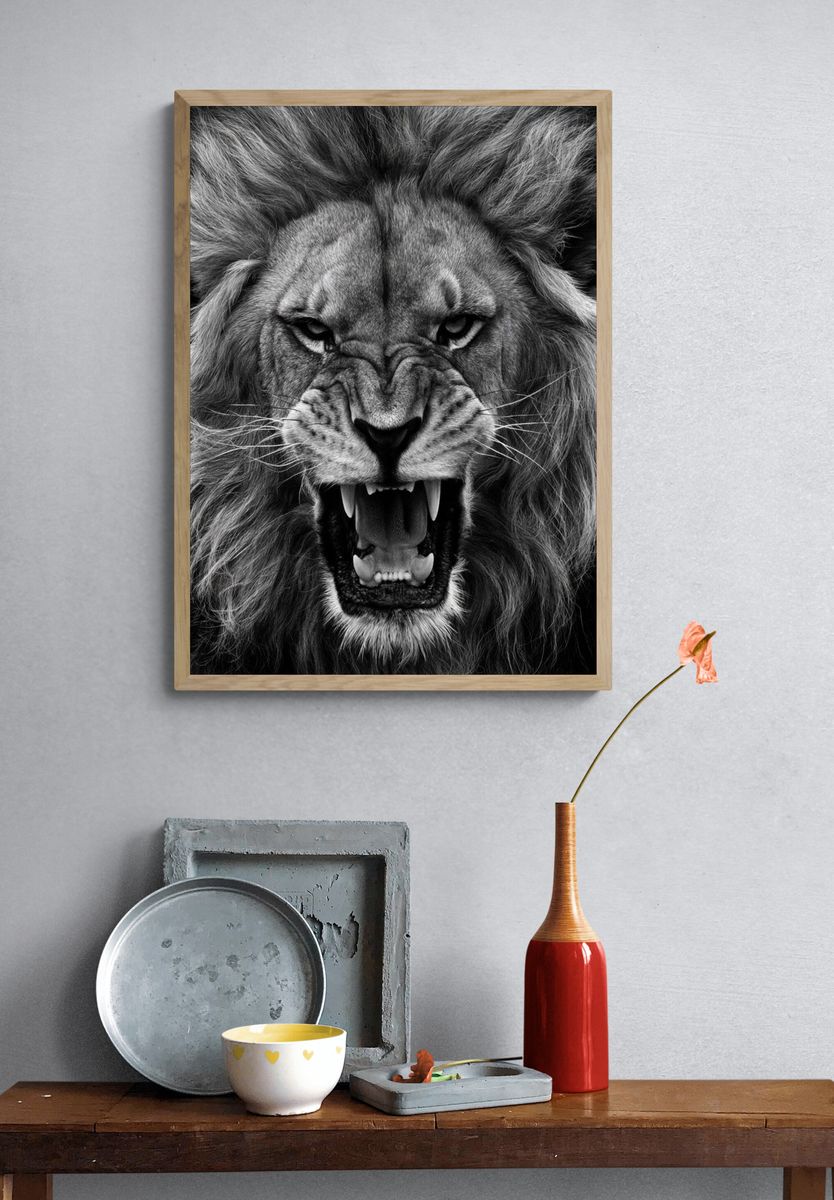 Roaring Lion Black-White Poster. — room view 3