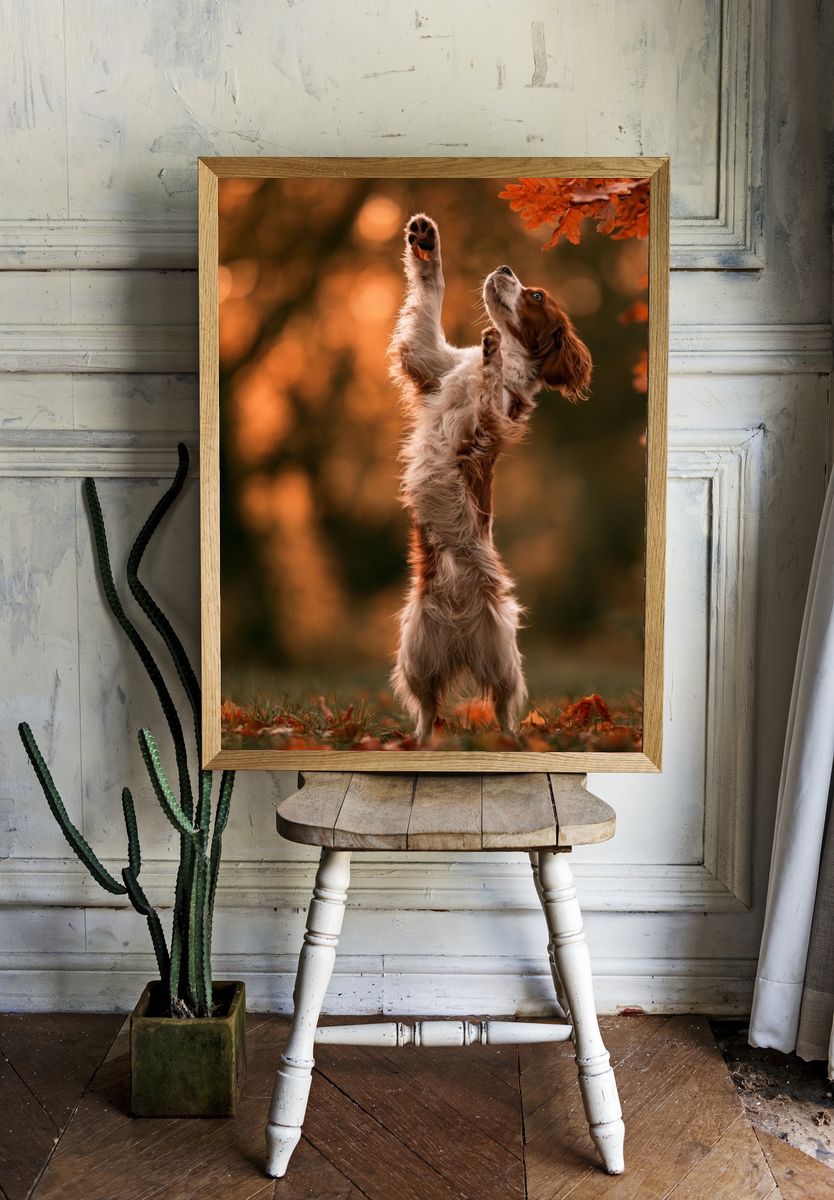 Autumn Spaniel Portrait Poster. — room view 1