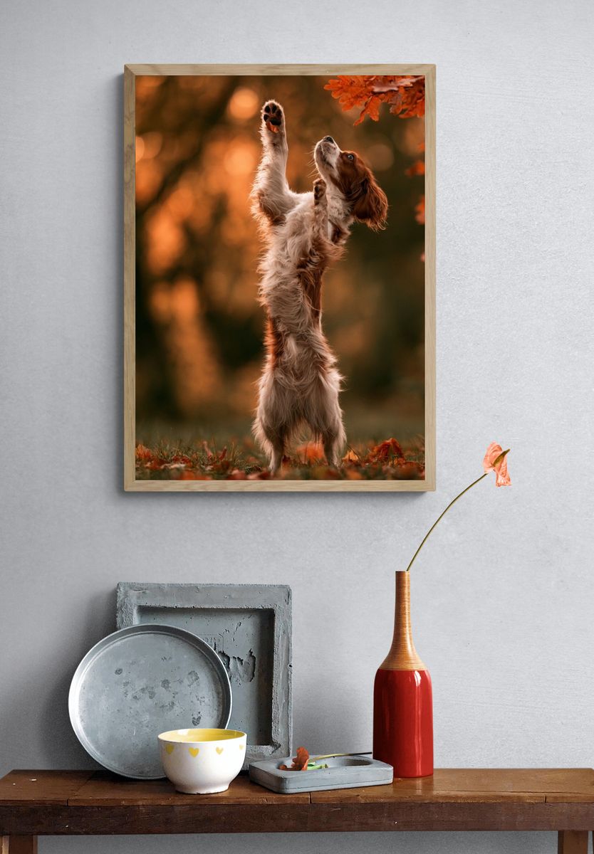 Autumn Spaniel Portrait Poster. — room view 3