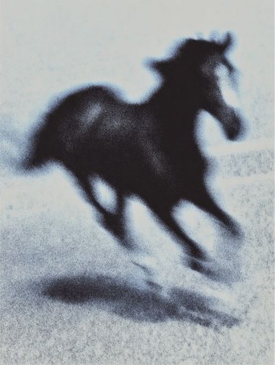 Galloping Horse Silhouette Print. poster