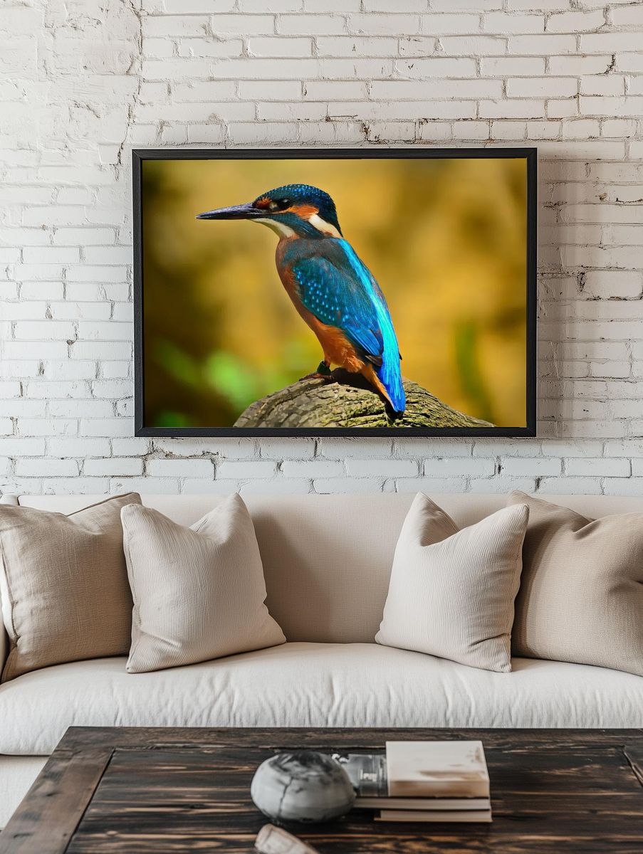 Kingfisher on Branch Wildlife Print room preview