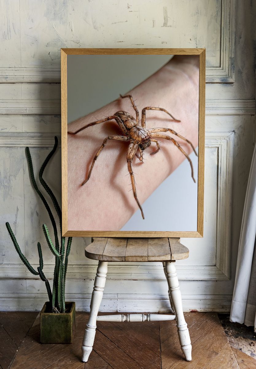 Spider on Hand Photography Poster. — room view 1