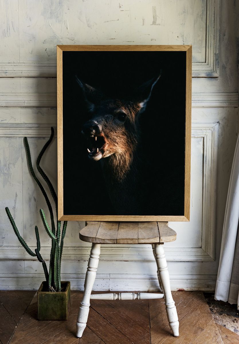 Howling Deer Photography Poster. — room view 1