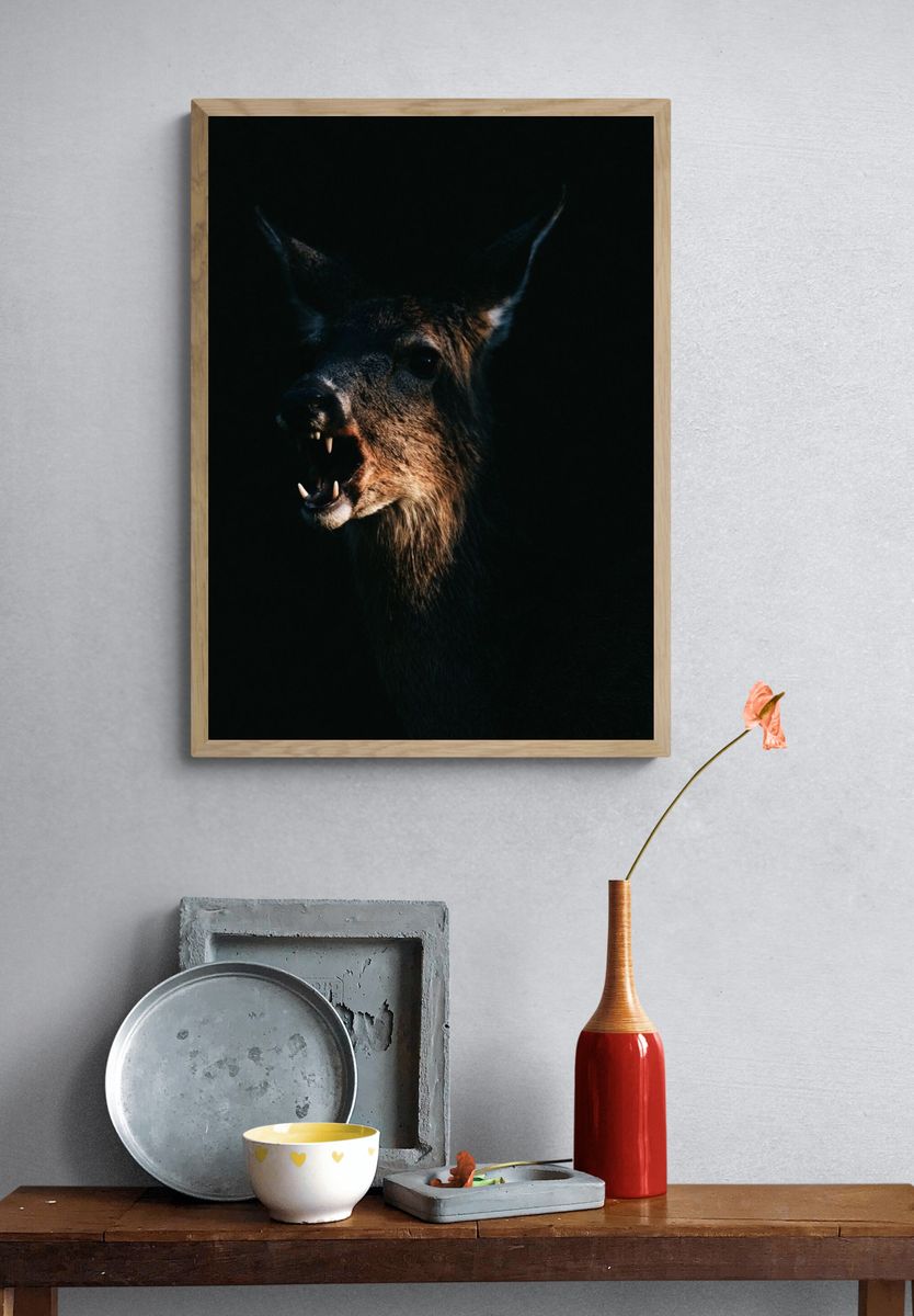 Howling Deer Photography Poster. — room view 3