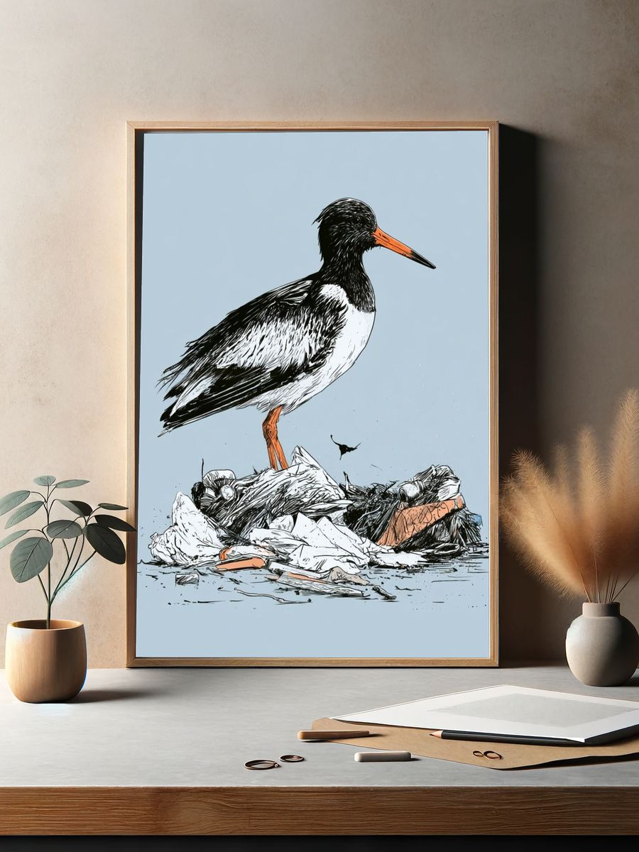 Oystercatcher Illustration Poster. — room view 2