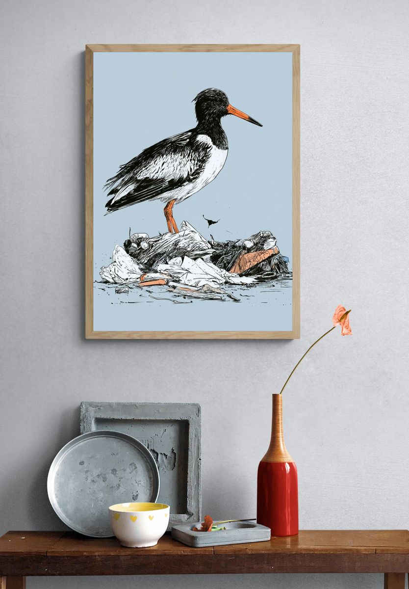 Oystercatcher Illustration Poster. — room view 3
