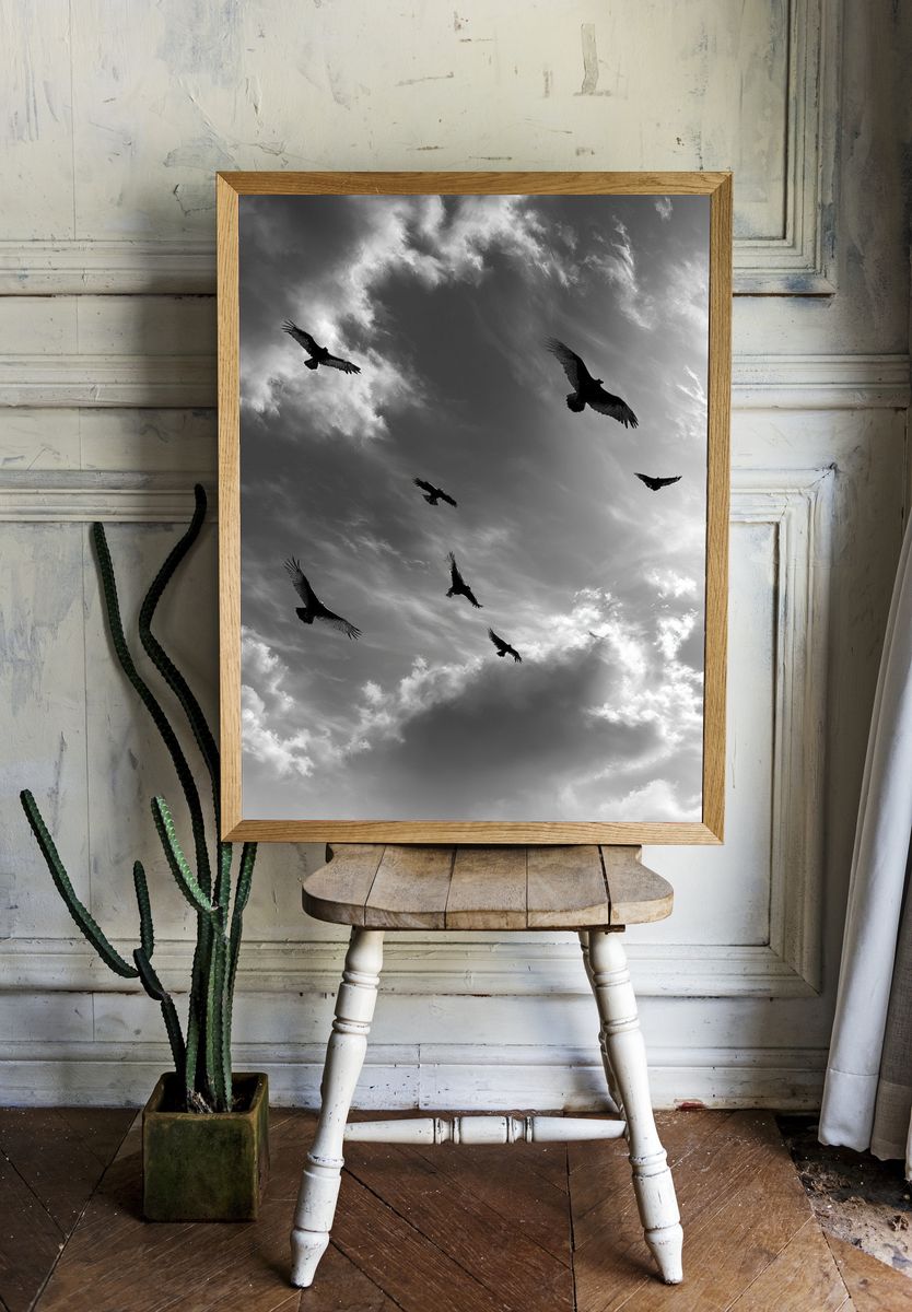 Birds in Stormy Sky Black-White Print. — room view 1