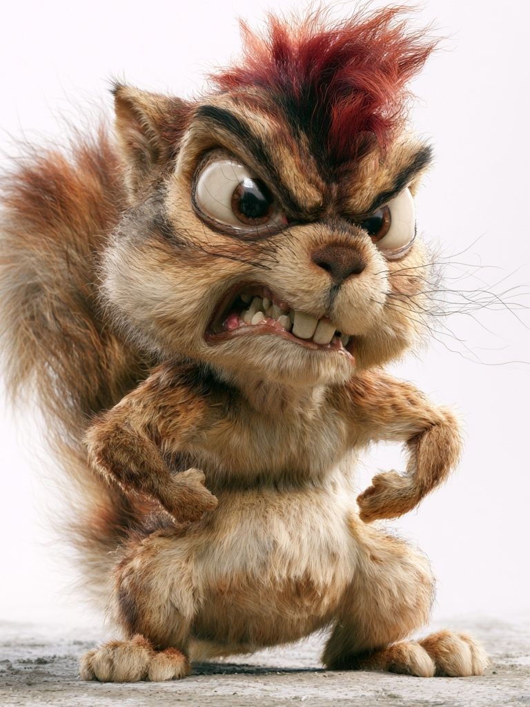 Angry Squirrel Cartoon Poster. poster detail