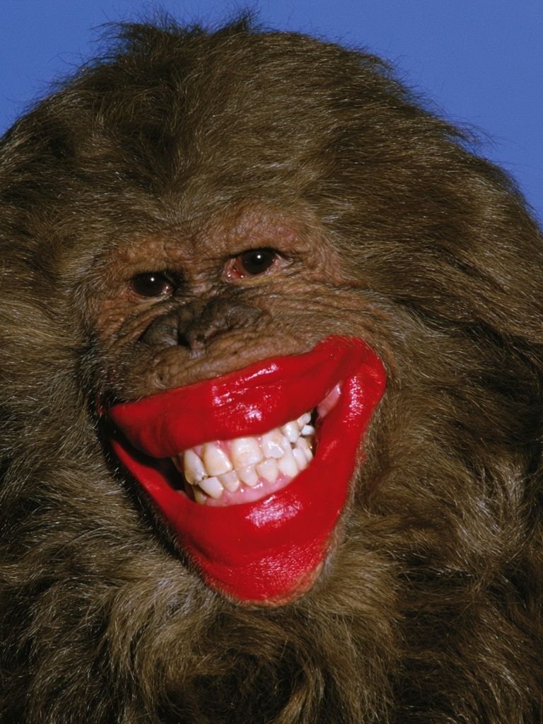 Smiling Bigfoot Portrait Print. poster detail