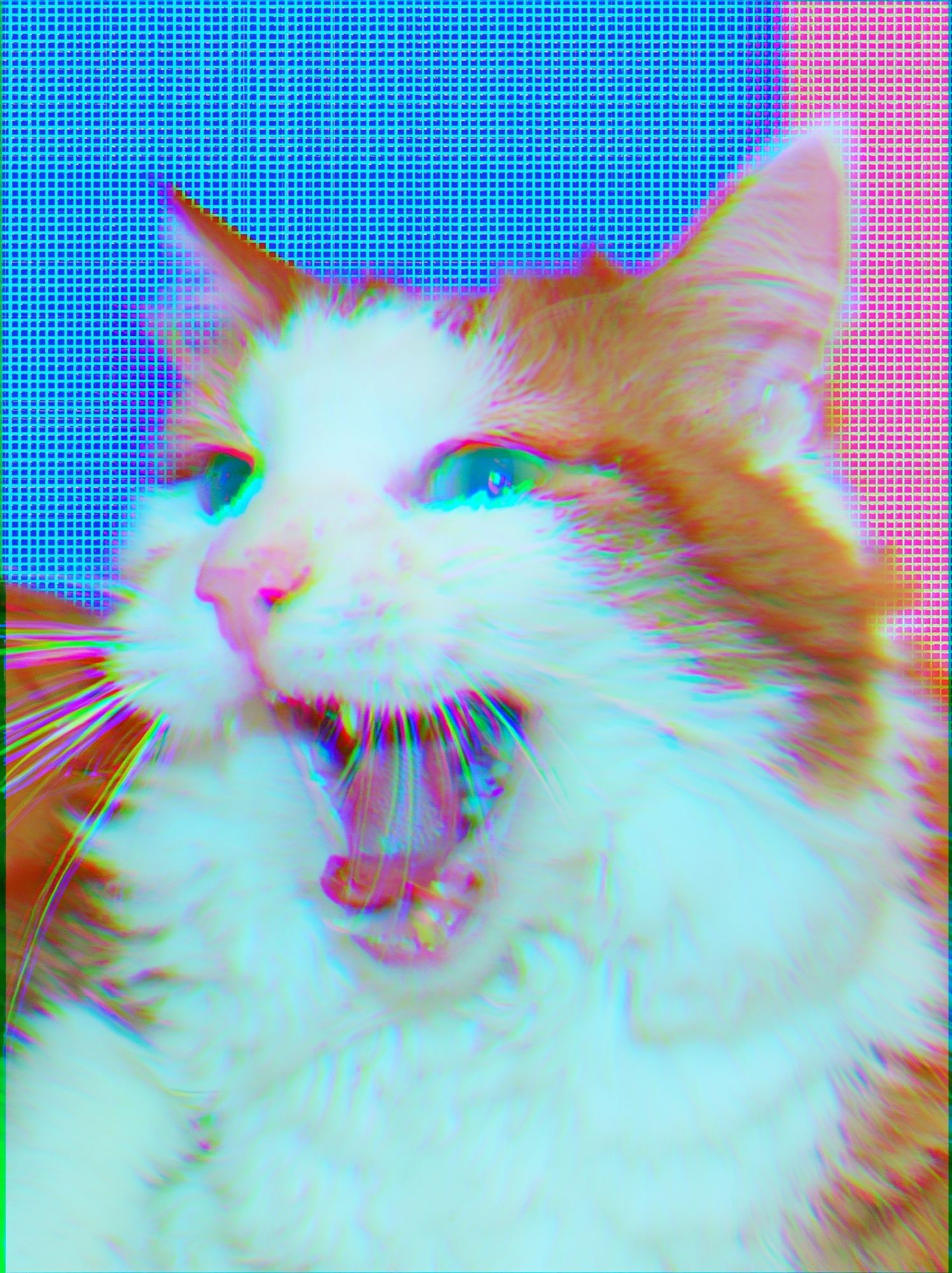 Yawning Cat Glitch Portrait Poster. poster detail