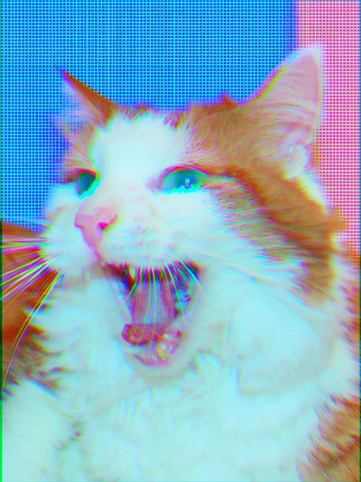 Yawning Cat Glitch Portrait Poster.