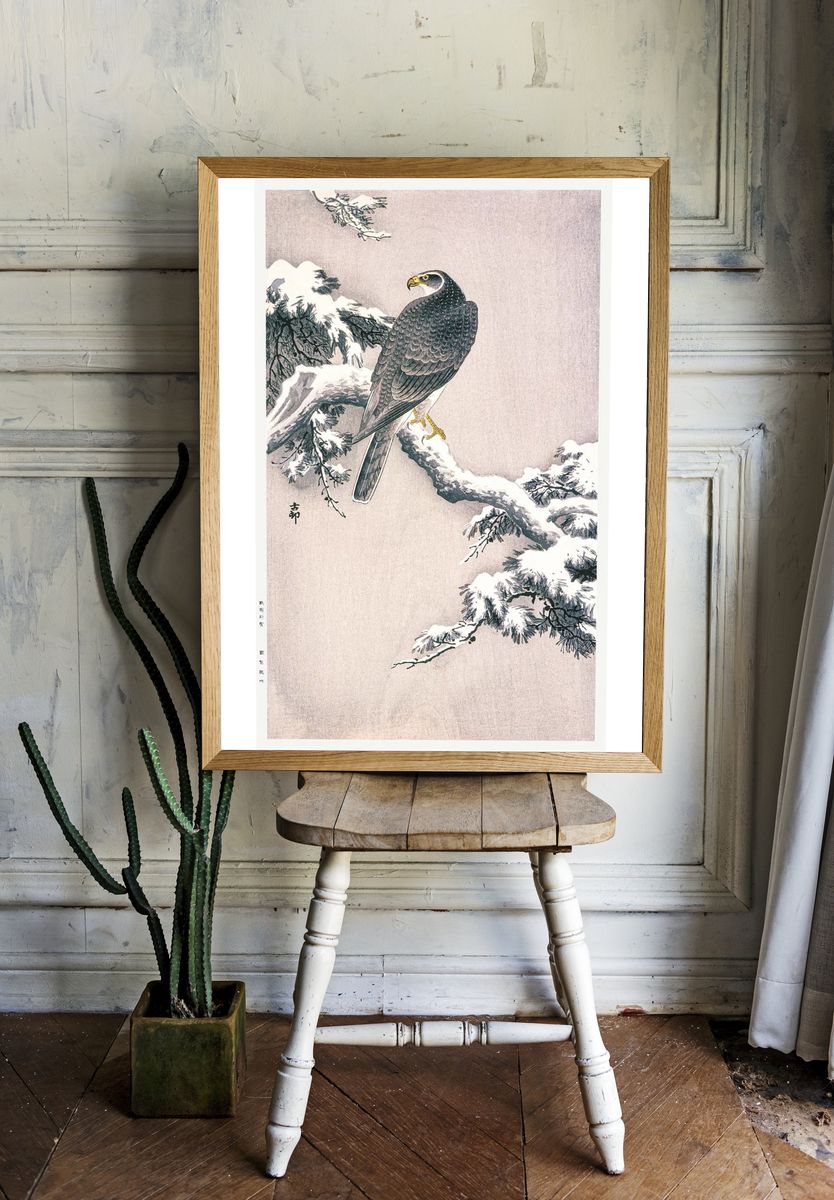 Goshawk Snow-covered Pine Bough Ohara. room preview