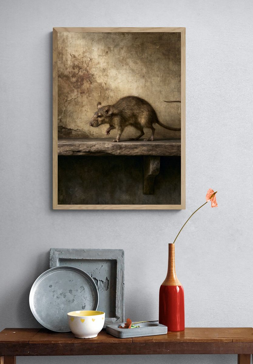 Vintage Rat Portrait Poster. — room view 3