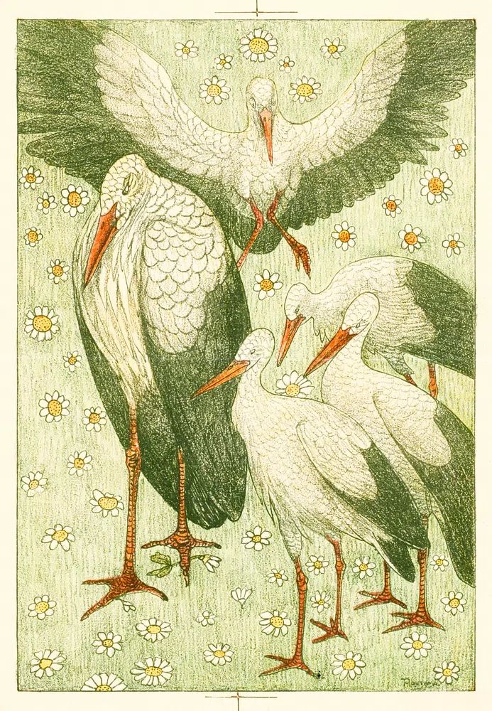 Vijf ooievaars in een wei (ca. 1878–1917). poster detail