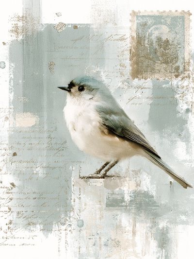 Bluebird Watercolor Poster. poster