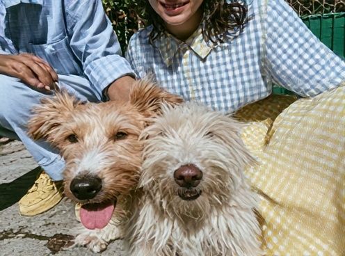 Playful Dogs Portrait Poster. poster detail