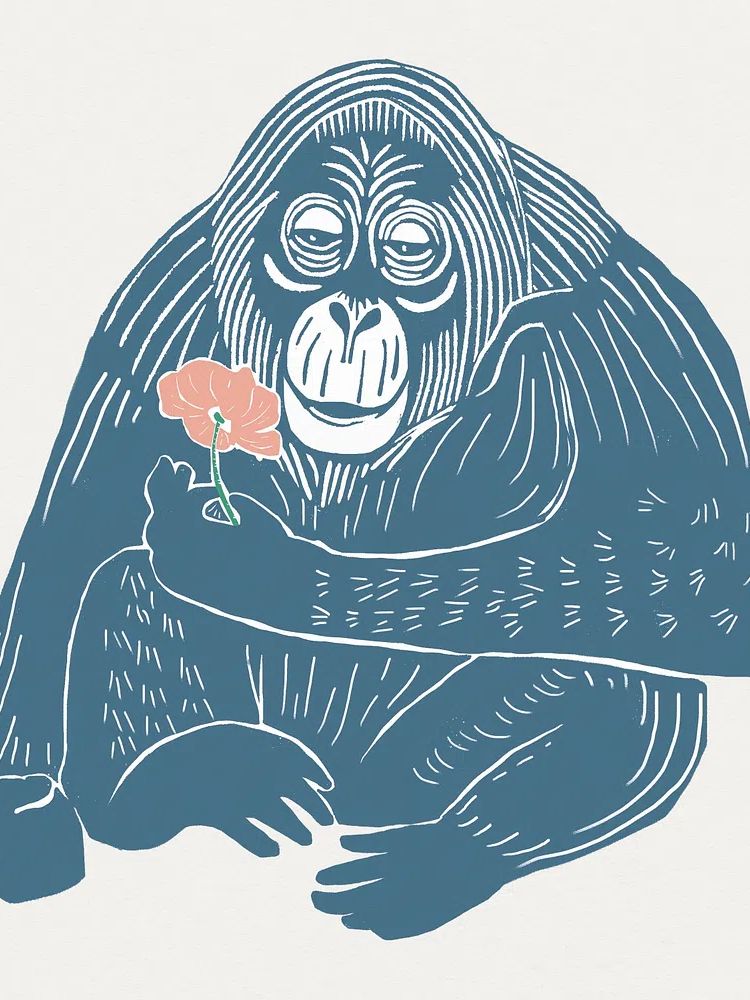 Orangutan with Flower Illustration Poster. poster — illustration art
