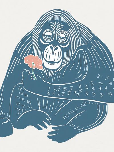 Orangutan with Flower Illustration Poster. poster print