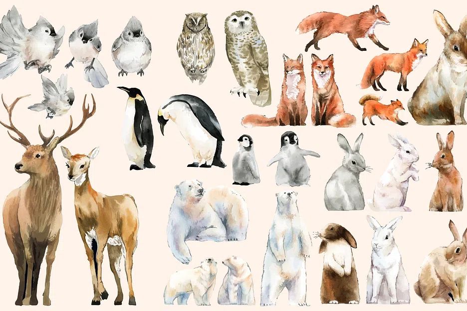 Hand-drawn wildlife set watercolor style. poster detail