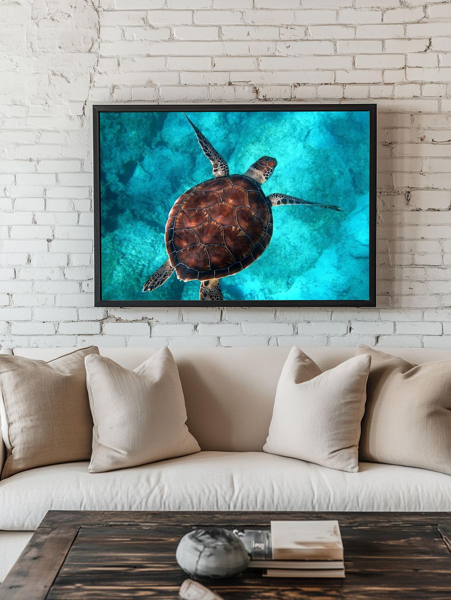 Big sea turtle swimming ocean. room preview