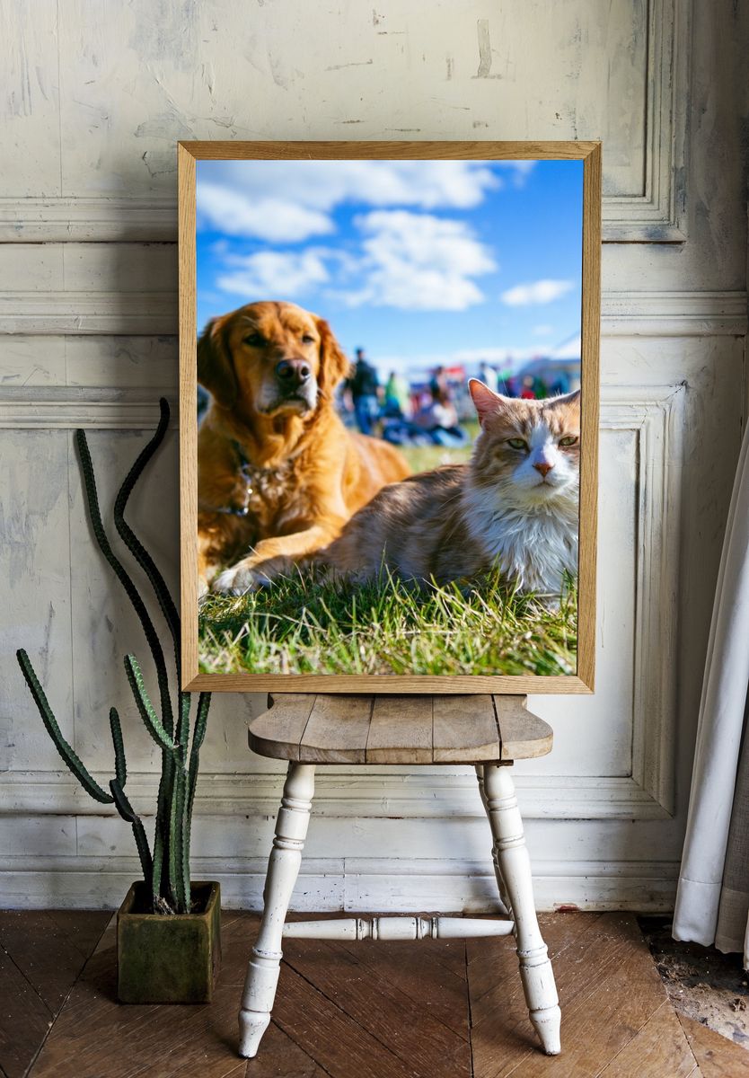 Dog and Cat Meadow Portrait Poster. — room view 1