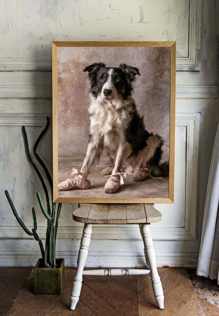 Ballet Dog Portrait Poster. — room view 1