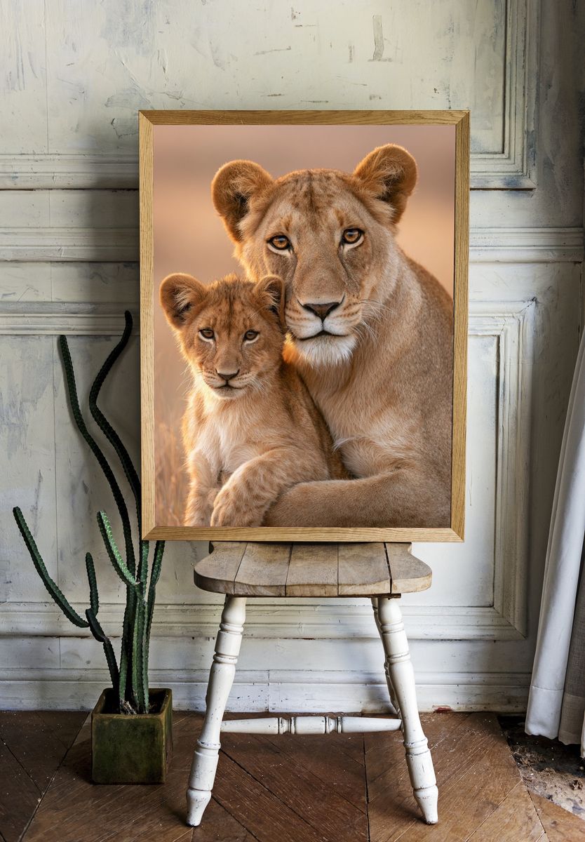 Lioness and Cub Wildlife Photography Poster. — room view 1