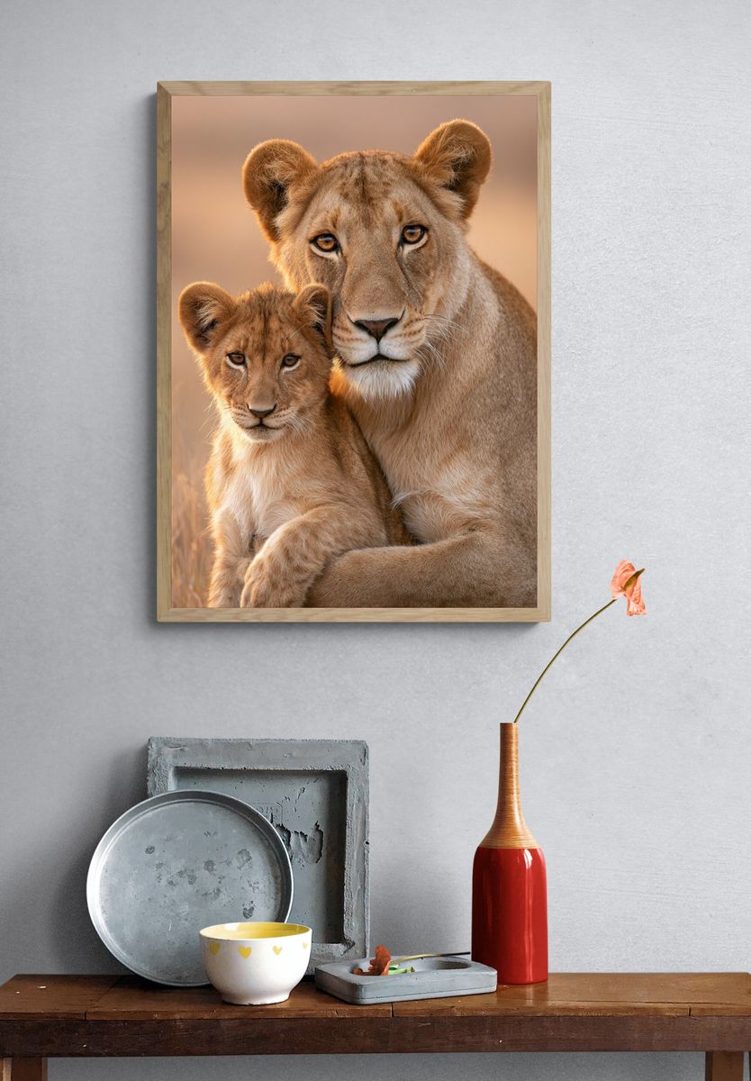 Lioness and Cub Wildlife Photography Poster. — room view 3