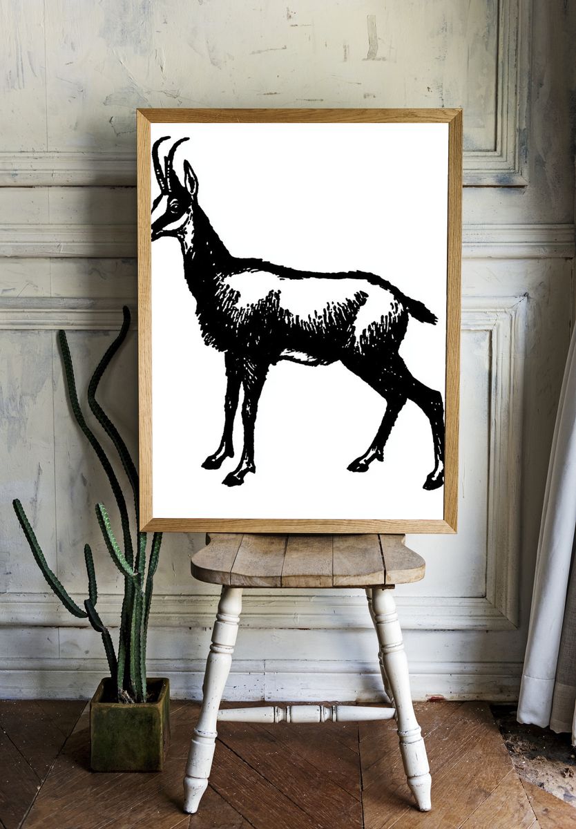 Antelope Ink Illustration Print. — room view 1