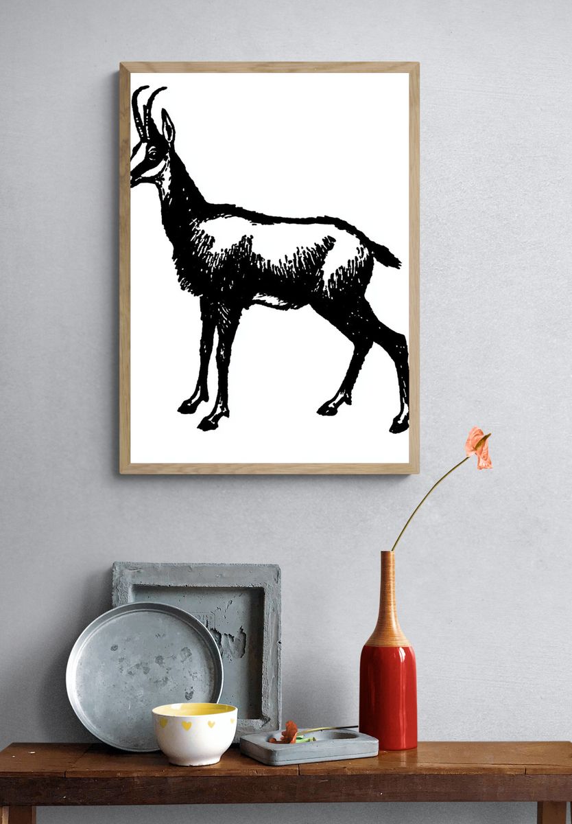 Antelope Ink Illustration Print. — room view 3