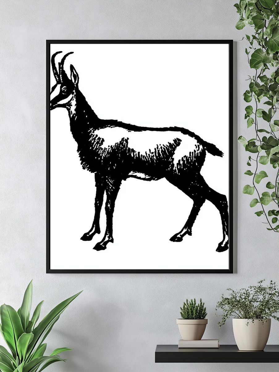 Antelope Ink Illustration Print. — room view 4