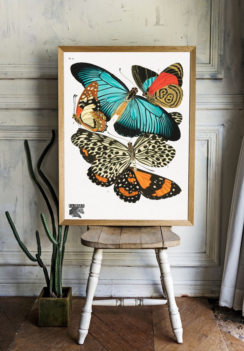 E.A. Séguy 's vintage butterflies room preview