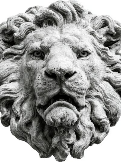 Stone Lion Head Photography Poster. poster