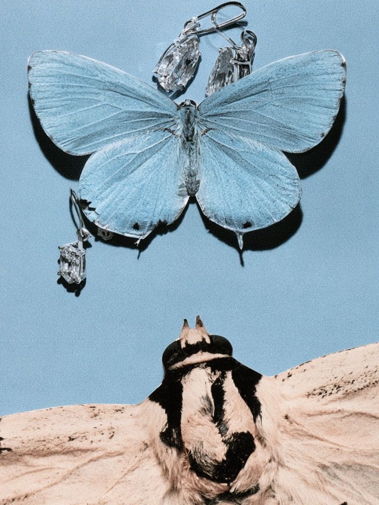 Blue Butterfly and Moth Collage Print. poster — animals art