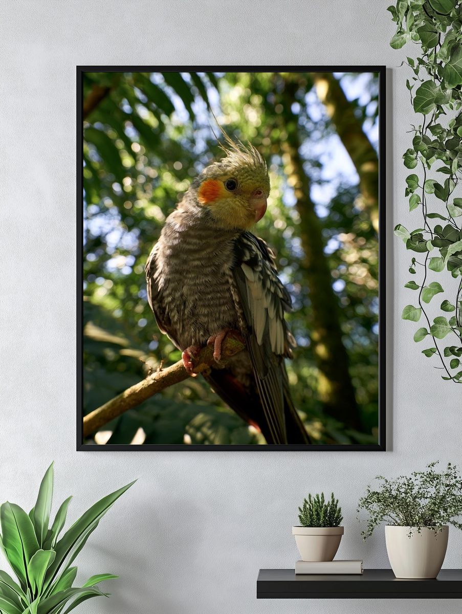 Cockatiel in Forest Light Poster. — room view 4
