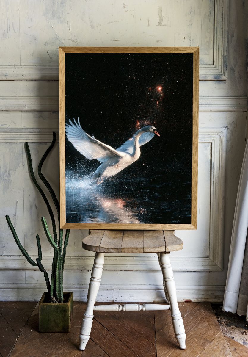 Swan in Starlight Illustration Poster. — room view 1