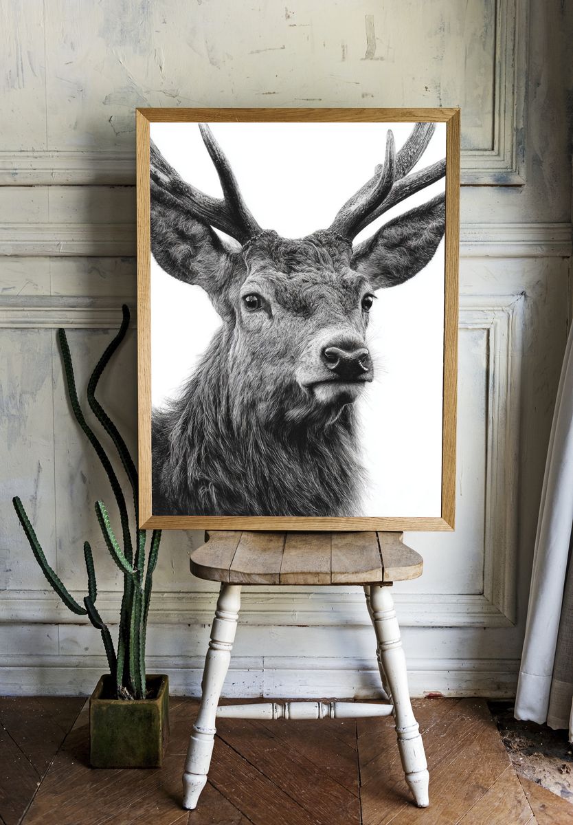 Majestic Deer Black-White Print room preview