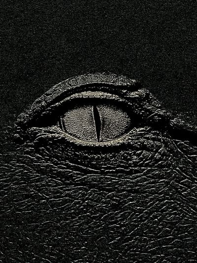 Crocodile Eye Photography Poster. poster