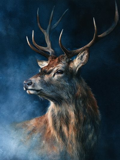 Majestic Stag Portrait Print.