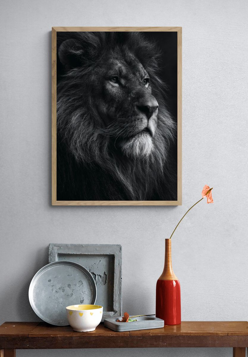 Majestic Lion Portrait Print. — room view 3