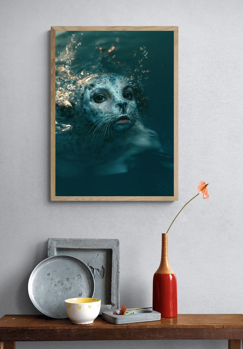 Seal Underwater Portrait Poster. — room view 3