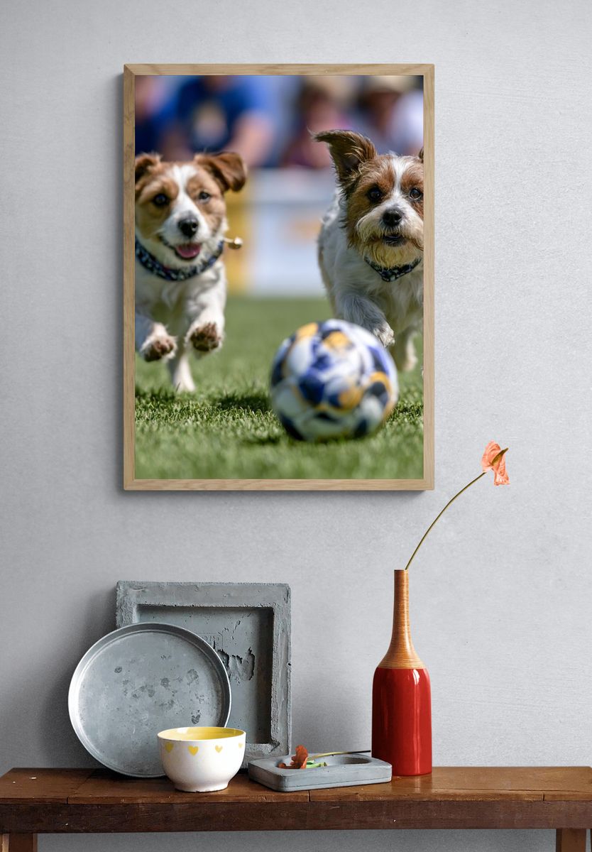 Playful Dogs Soccer Photography Poster. — room view 3