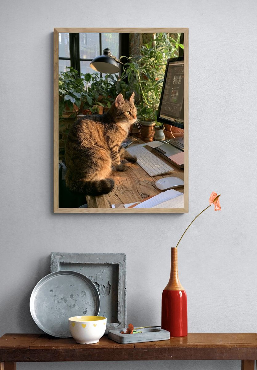 Tabby Cat Office Portrait Poster. — room view 3