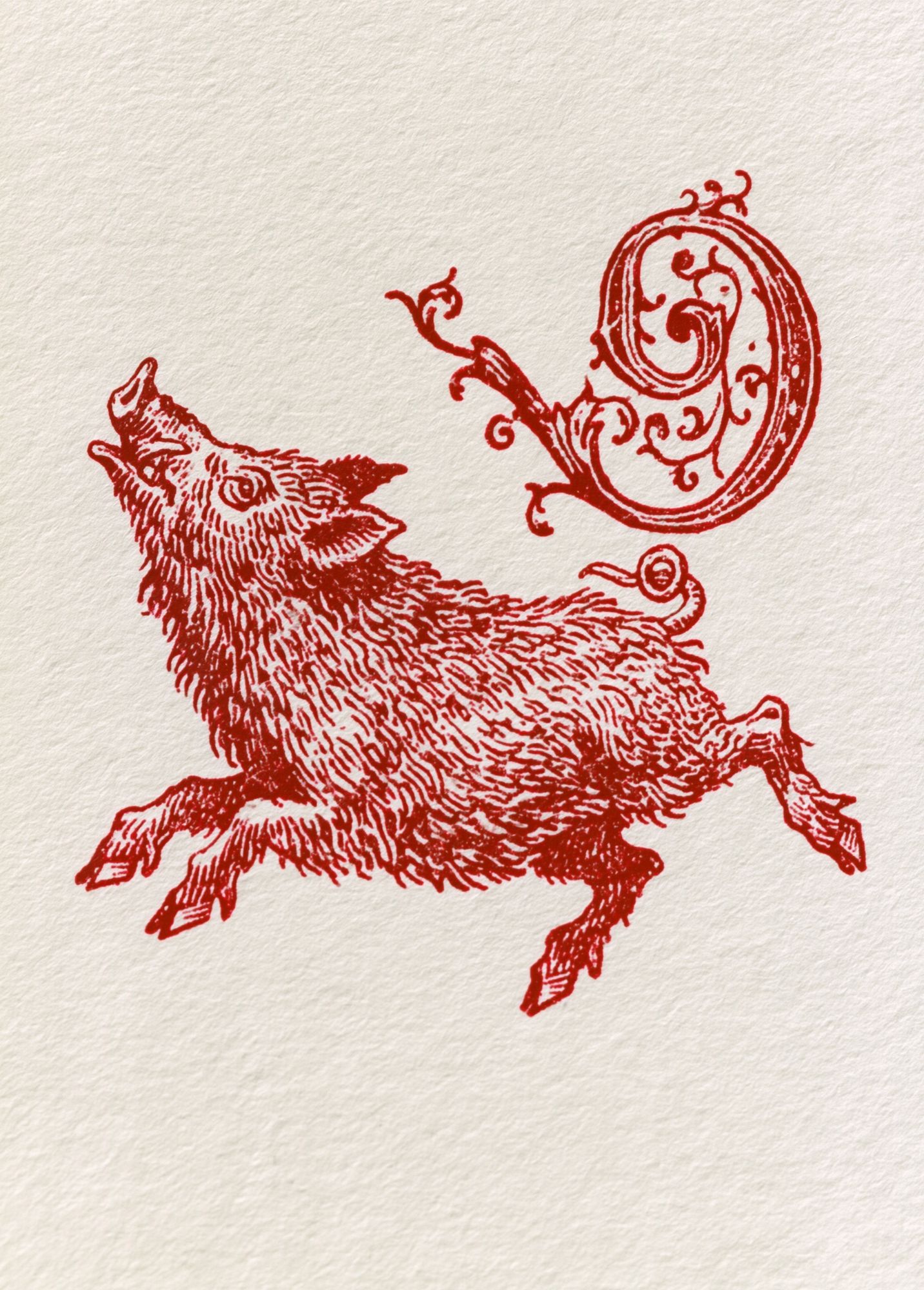 Running Boar Ink Illustration Poster. poster detail
