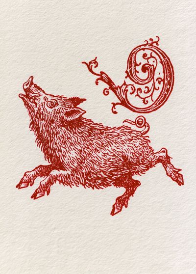 Running Boar Ink Illustration Poster. poster