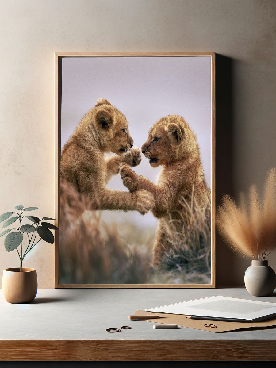 Lion Cubs Playful Wildlife Poster. — room view 2