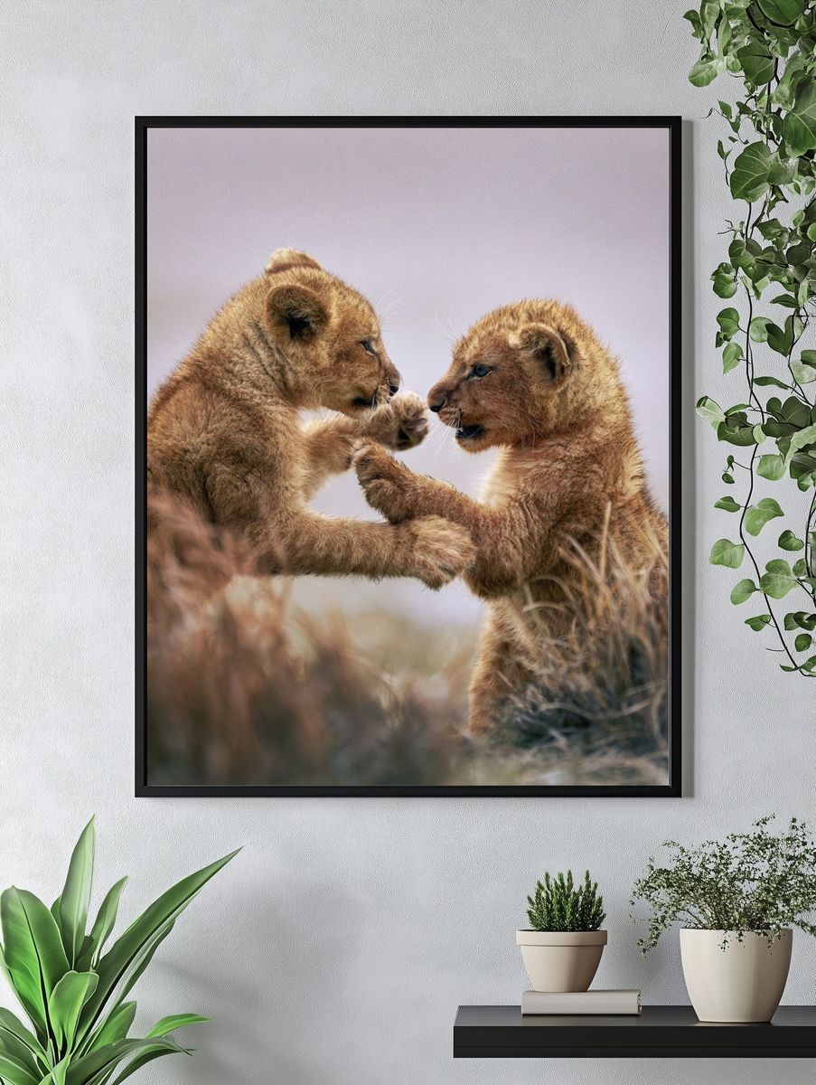 Lion Cubs Playful Wildlife Poster. — room view 4