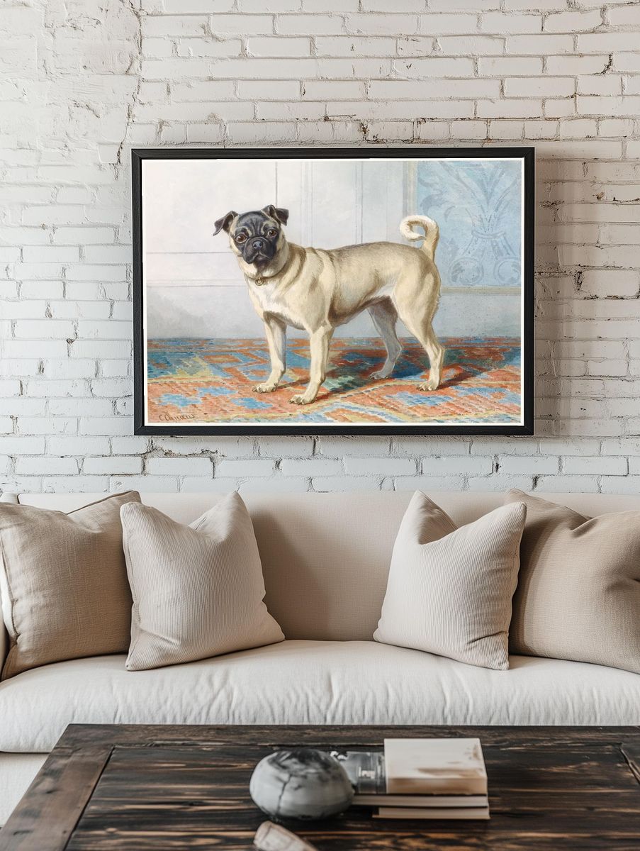 Portrait Edwin Vom Rath’s Pug. room preview