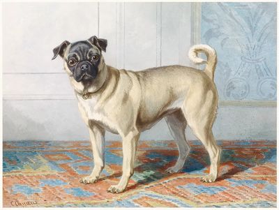 Portrait Edwin Vom Rath’s Pug. poster